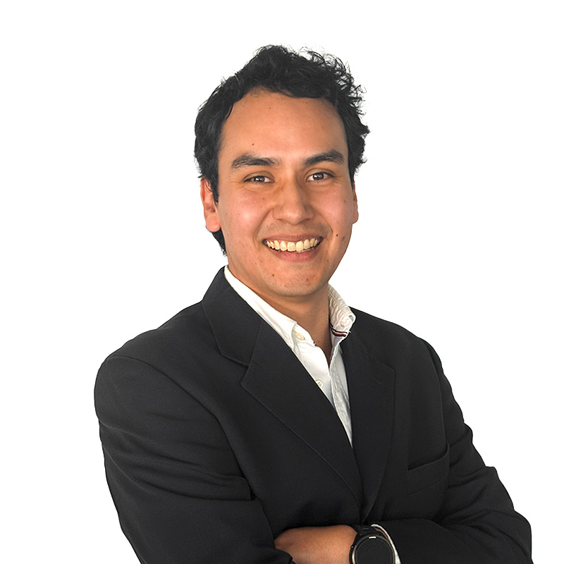 Ulises L.